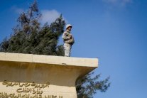 مصر والإمارات تستعدان لإطلاق مناورات 