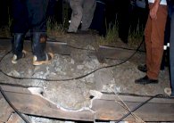 تفجير بجوار خط سكة حديد جنوب القاهرة والعثور على جثة مجهولة