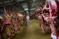 وزير الصحة اللبناني: الاستجابات إيجابية والحملة الغذائية مستمرة