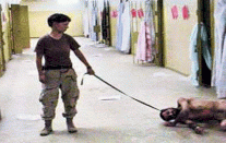 التقرير حول تقنيات التعذيب لدى 