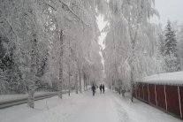 رحلة في حياة سكان القطب الشمالي