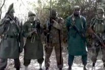 الجيش الكاميروني يؤكد قتل 116 من عناصر بوكو حرام