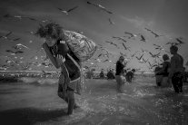 جمعية التصوير الضوئي العمانية الأفضل في الشرق الأوسط