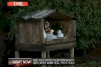 سرقة تمثال المسيح واستبداله برأس خنزير في أميركا