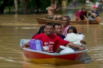 منكوبو الفيضانات بماليزيا يلجأون إلى النهب