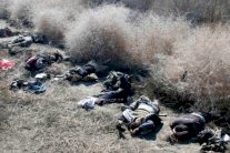 المهاجرون ومجزرة العتيبة...