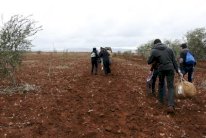 استنفار الجيش التركي لحماية ضريح تاريخي في سوريا