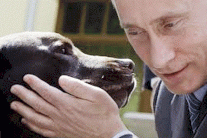 بوتين يرى السياسة 