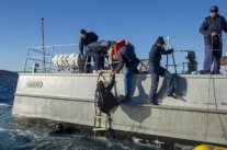 السلطات المغربية تعتقل اكثر من ستين مهاجرا غير شرعي 