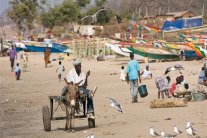 غامبيا اعادت فتح حدودها البرية مع السنغال