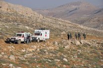 هيومان رايتس: السلطات اللبنانية تمنع دخول اللاجئين الفلسطينيين من سوريا