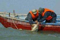 توقيف إسبانيين في إيران بتهمة الصيد غير المشروع