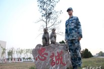 الصين تجنِّد قردة لحماية دفاعها الجوي