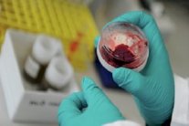  كورونا يصل إلى الجزائر بإعلان أول إصابتين بالبلاد