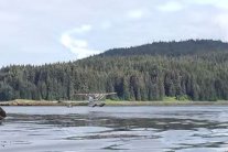 كادت الطائرة تهبط على ظهر حوت!