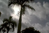 الاعصار نيوغوري يقترب من الجزر الرئيسية في اليابان وانذار في اوكيناوا