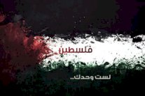 قنوات التلفزة اللبنانية تبث نشرة موحدة الاثنين تضامنًا مع غزة