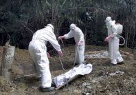 السودان يؤكد خلو البلاد من أي حالة اشتباه لمرض أيبولا