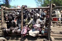 أثيوبيا أكبر دولة مستضيفة للاجئين في أفريقيا