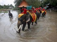 الفيضانات تودي بحياة 200 شخص في النيبال والهند