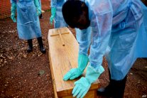 إيبولا: تجربة ناجحة لدواء تجريبي على القرود