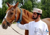 محمد بن راشد يخطط لبناء نُزل فخم في عزبته باسكتلندا