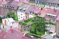 هامبورغ تزرع أسطح منازلها لتتأقلم مع البيئة