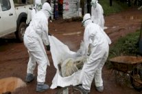 62 حالة مرضية بإيبولا فى الكونغو الديمقراطية