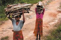 يونيسيف: أزمة أيبولا تضرب صحة أطفال ليبيريا