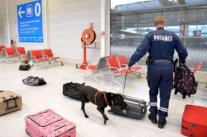  اعتقال شاب في نيس بعد عودته من 