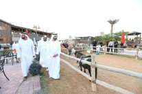 محمد بن راشد يزور مقر النادي الملكي للفروسية بدبي