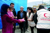 قرقاش: ما نقوم به تضميد للجراح بانتظار تغليب العقل