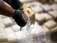 السعودية تكشف شبكة تهريب مخدرات بالتعاون مع الامارات