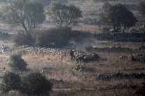  هذه أهداف عمليّة القنيطرة 