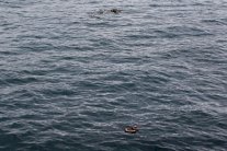 غرق ستة مهاجرين سريين وانقاذ عشرة آخرين في المغرب