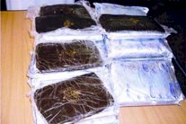 السعودية: مصادرة 300 بلاطة حشيش خلال يومين