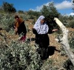 اصابة مصور فلسطيني بالرصاص قرب نابلس