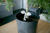 نظام استشعار ورقي لتنظيم ري النباتات