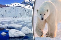 خبير مناقضًا العلماء: الأرض تزداد برودة!