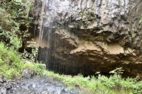 باحثون يكشفون أقدم تسلسل جينوم بشري