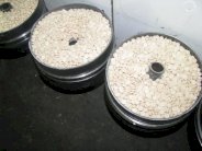 السعودية: احباط تهريب أكثر من 500 ألف حبة مخدرة