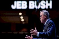 جيب بوش ينفي 