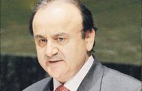 الإمارات: لا إستقرار من دون تسوية قضية فلسطين