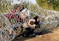 الإفتاء المصرية: السلفيون في أوروبا يستقطبون اللاجئين