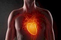 قلب اصطناعي من رغوة السيليكون