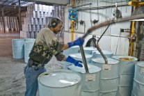 منتجو عصير القيقب في كندا يحاكون استراتيجية أوبك