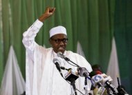 تشكيل حكومة في نيجيريا بعد أشهر من الانتظار