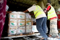 مركز الملك سلمان يُسير رابع طائرة إغاثية لمطار سقطري