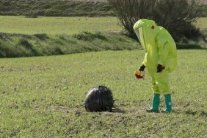 جسيمات غريبة تسقط من السماء في جنوب إسبانيا