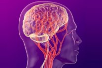 أطباء كنديون يخترقون حاجز الدماغ بموجات فوق صوتية